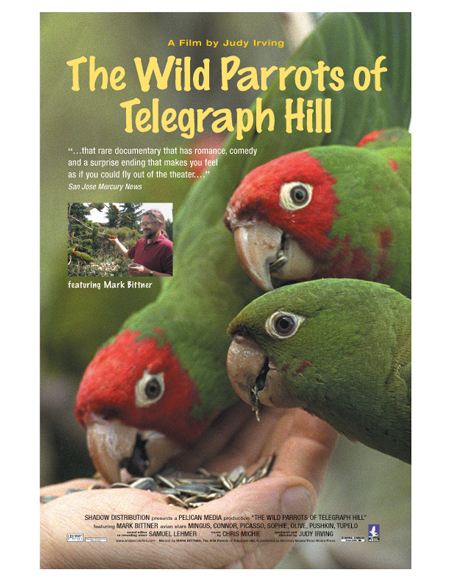 Wild Parrots Movie Poster